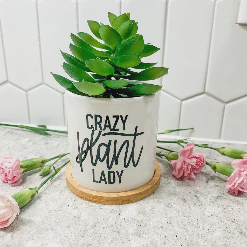 Personalised Ceramic Desktop Plant & Flower Pot